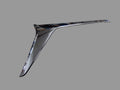CHERY TIGGO 7 PRO BUMPER MOULDING LHS